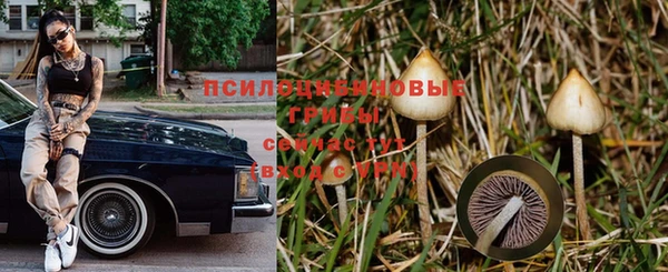 дмт Абаза
