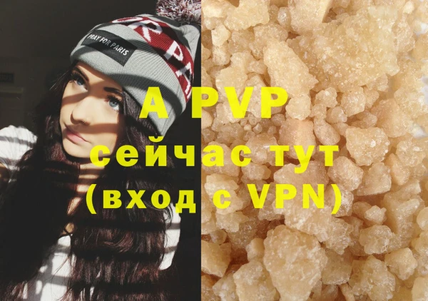 дмт Абаза
