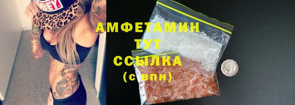 дмт Абаза