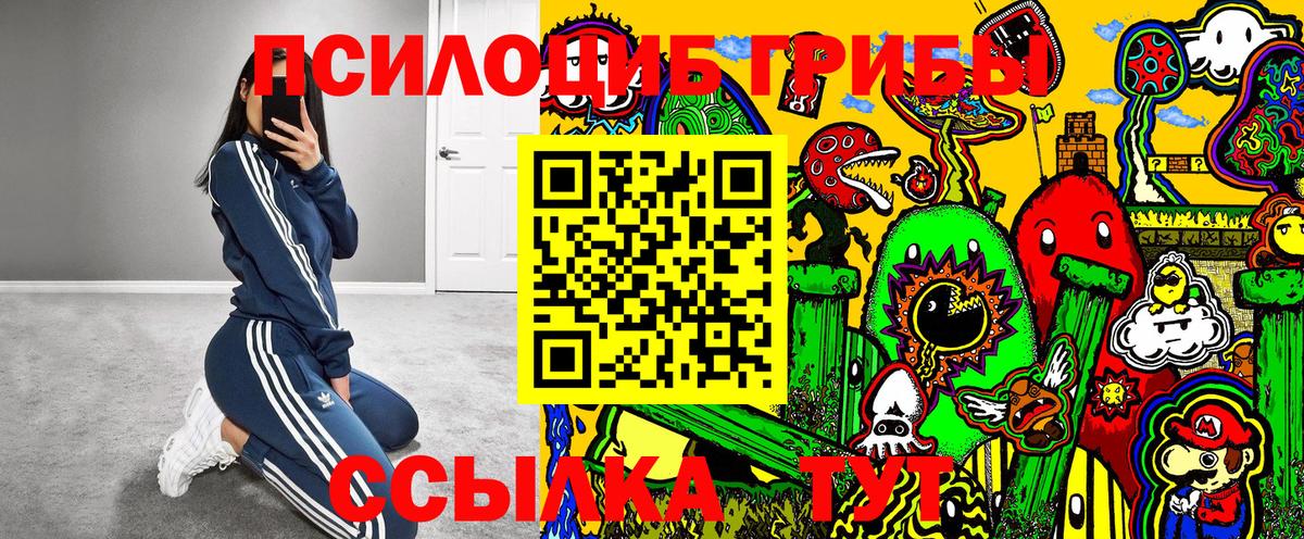 Псилоцибиновые грибы прущие грибы Урюпинск