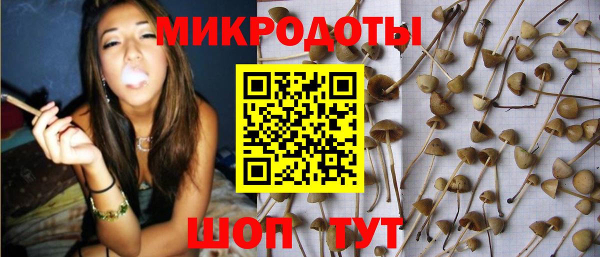 Галлюциногенные грибы Psilocybe  Вход с VPN  Урюпинск  хочу   Галлюциногенные грибы Psilocybine cubensis 
